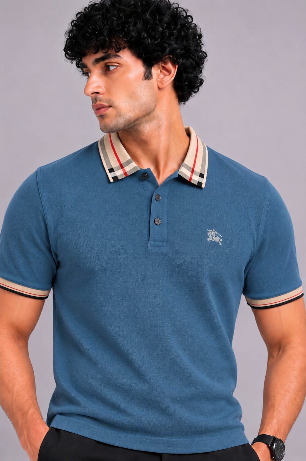 Check Collar Embroidered Polo T-Shirt